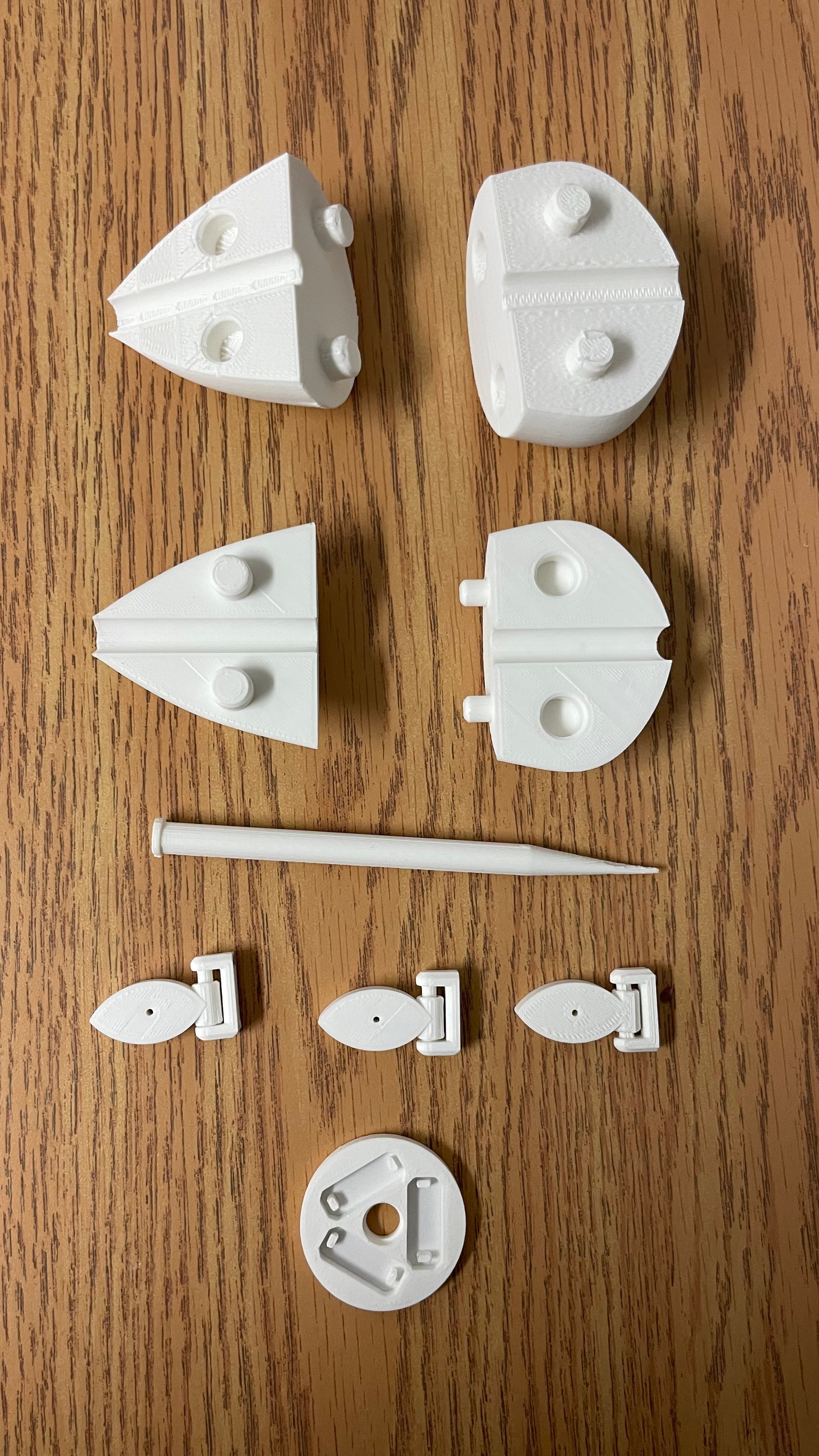 Star Nosed Trillium Mole